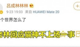 吵架王vs吃瓜王免费阅读,一场网络辩论的火花碰撞